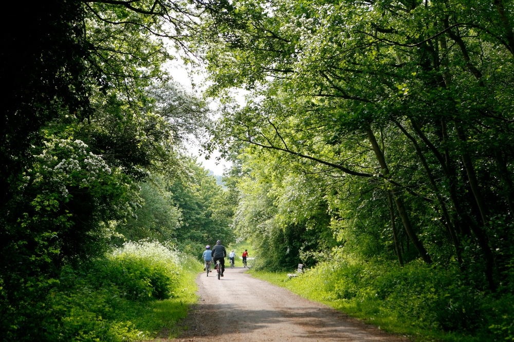 View of Telford Town Park